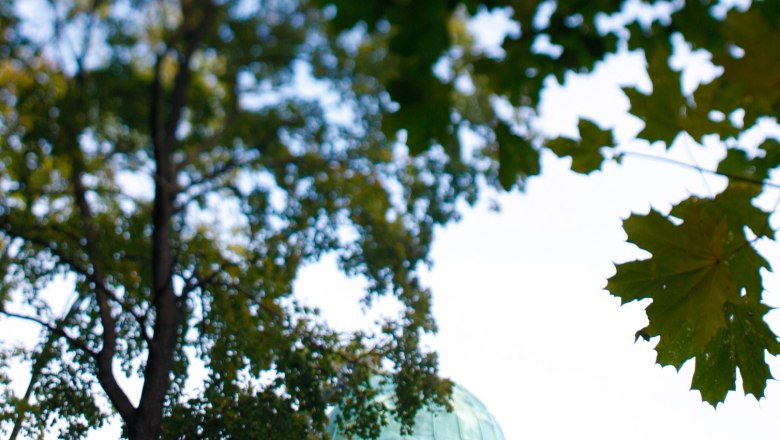 Krupptempel durch Bl&auml;tter, &copy; Stadtgemeinde Berndorf / Foto Husar Christian