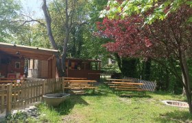 Ein Biergarten mit Holzbänken und Tischen im Freien, umgeben von Bäumen und einem Holzzaun.