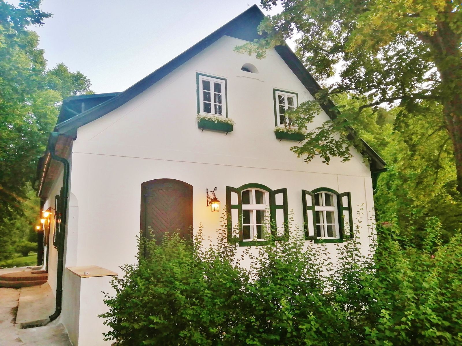 Weißes Haus mit grünen Fensterläden, umgeben von Bäumen.