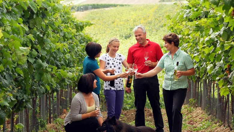 Eine Familie steht in einem Weinberg und st&ouml;&szlig;t mit Weingl&auml;sern an. Ein Hund liegt am Boden.