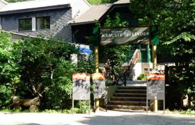 Waldrast Krauste Linde, &copy; Waldrast Krauste Linde