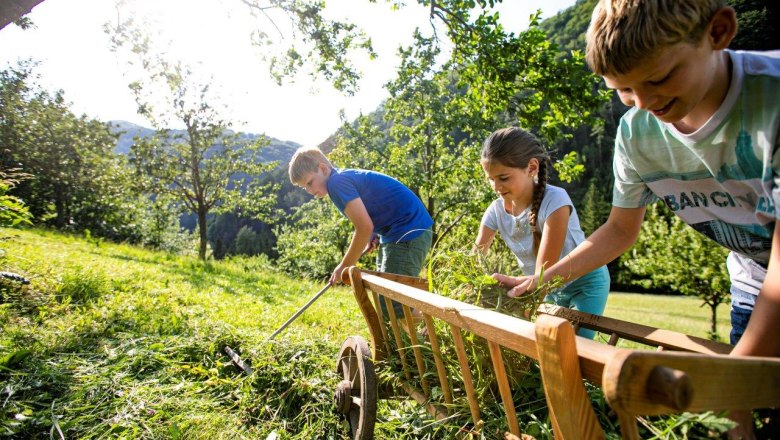 Urlaub am Zwergerlhof, &copy; schwarz-koenig.at