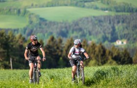Mountainbiken in der Buckligen Welt, © Wiener Alpen / Christian Kremsl
