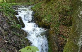 Ein kleiner Wasserfall im Wald, umgeben von Bäumen und Moos.