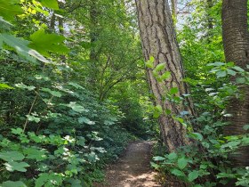 Wegerl im Helenental, &copy; Wienerwald Tourismus / &copy;Klaus Lorenz