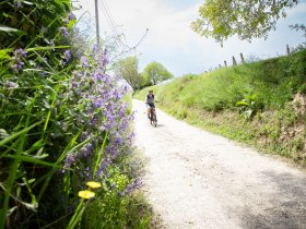 Radfahrer im schattigen Hohlweg.