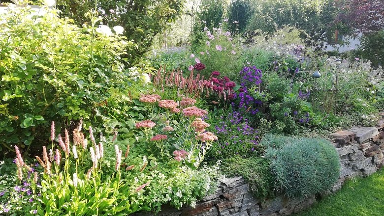 Ein &uuml;ppiger Garten mit verschiedenen bl&uuml;henden Pflanzen und Str&auml;uchern auf einer Steinterrasse.