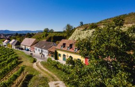 Kellergasse Rohrendorf, &copy; Doris Schwarz-K&ouml;nig