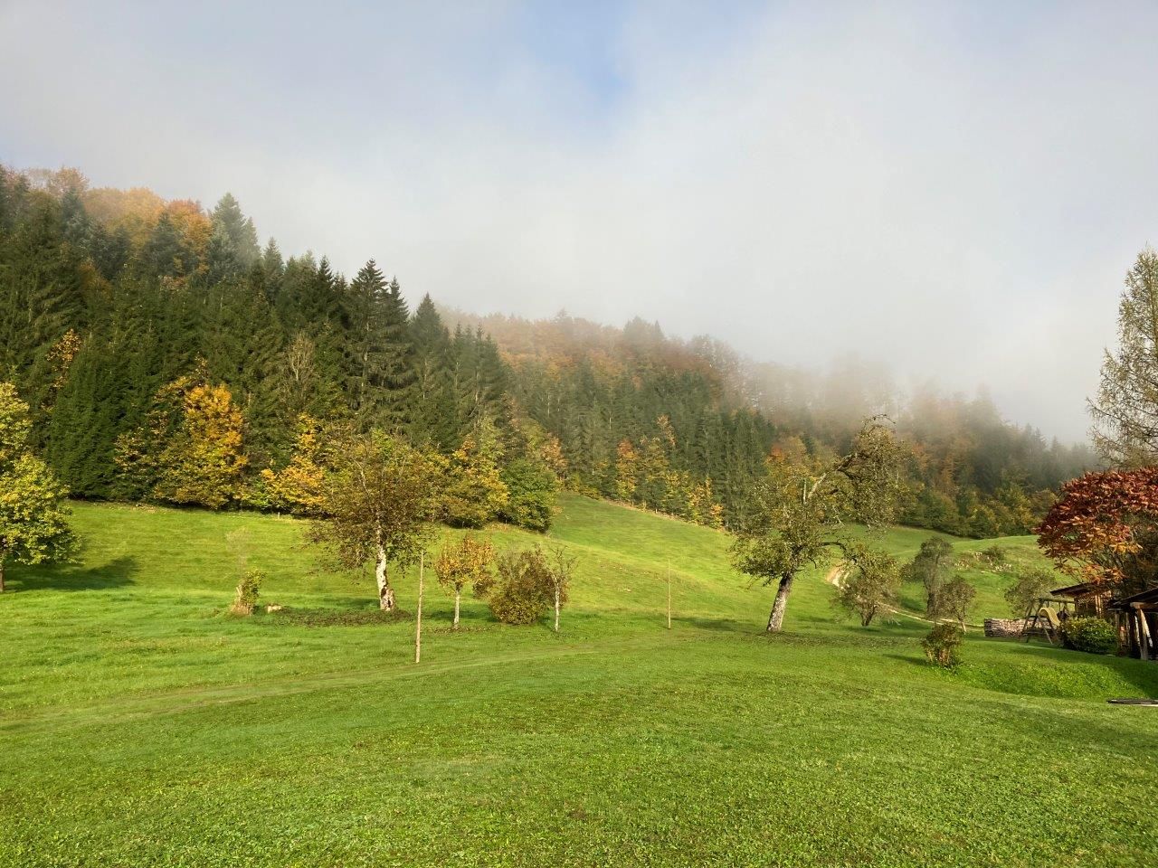 weitläufiger-garten-vor-dem-ferienhaus