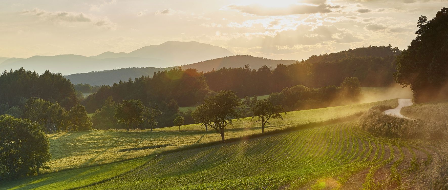 Blick in die Bucklige Welt