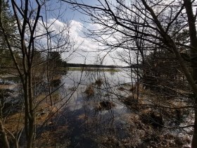 Moorlacke, &copy; Thomas Diesner