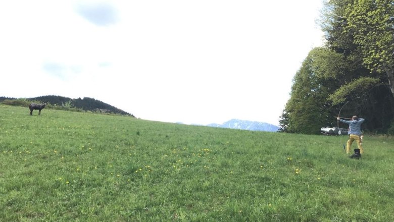 Person schießt mit einem Bogen auf ein Ziel auf einer Wiese.