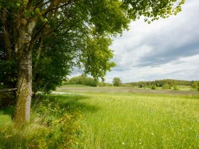 Le sentier des ours dans le Waldviertel, &copy; Matthias Schickhofer