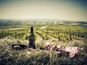 Sch&uuml;ttenberg G&ouml;ttlesbrunn - VIA.VINUM., &copy; Donau Nieder&ouml;sterreich Tourismus, Andreas Hofer