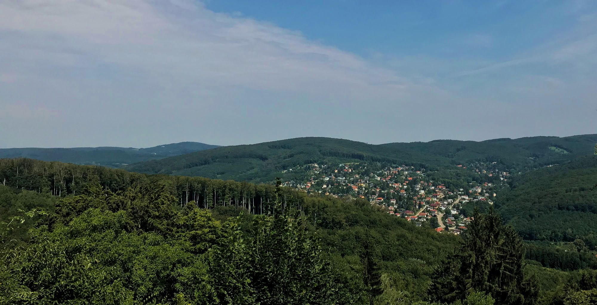 Wienerwald Steinbachtal