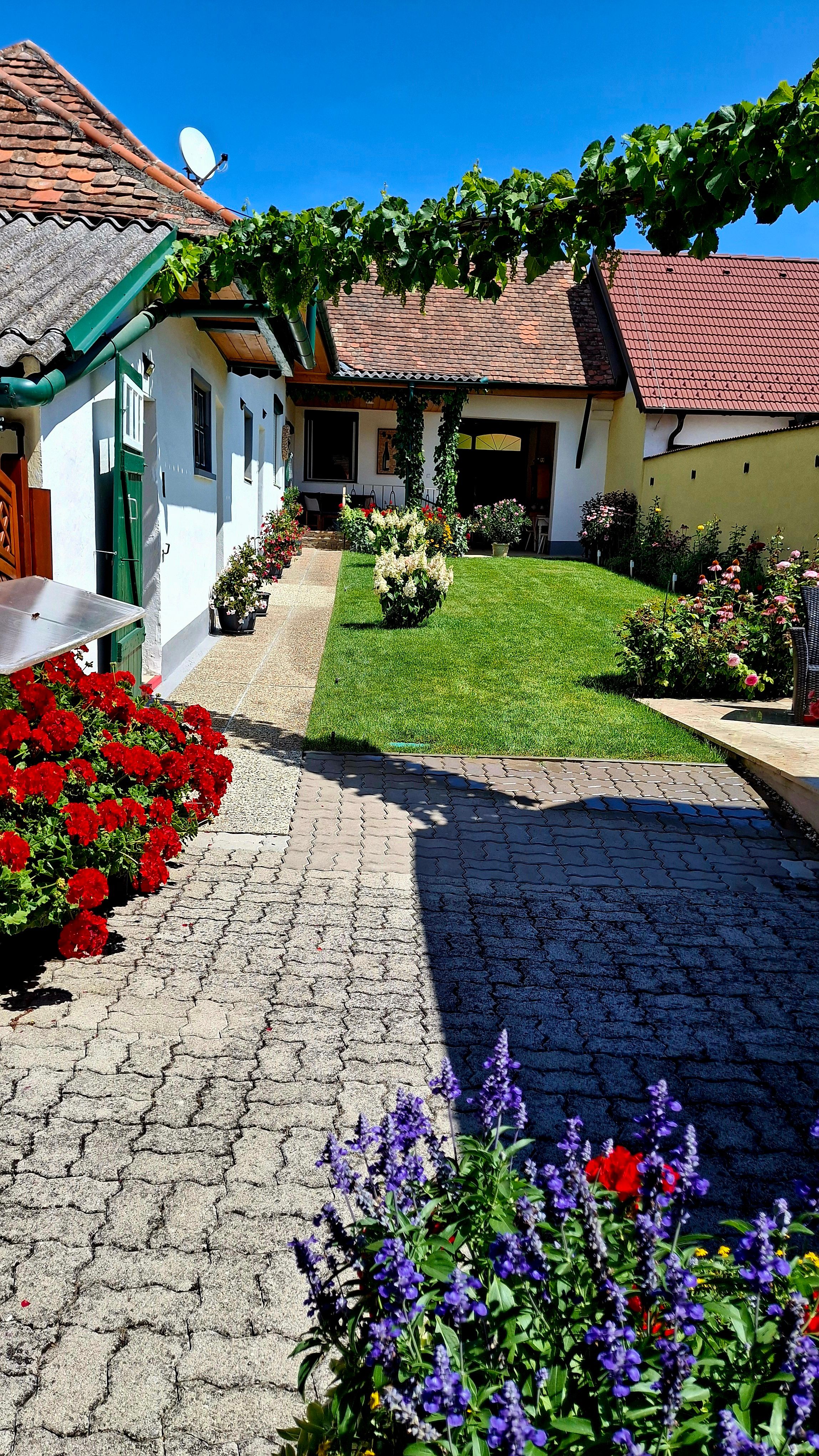 Ein malerischer Innenhof eines Ferienhauses mit blühenden Blumen und gepflegtem Rasen unter einem strahlend blauen Himmel.