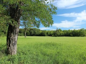 Großer Orther Rundwanderweg, © Donau Niederösterreich - Römerland Carnuntum-Marchfeld
