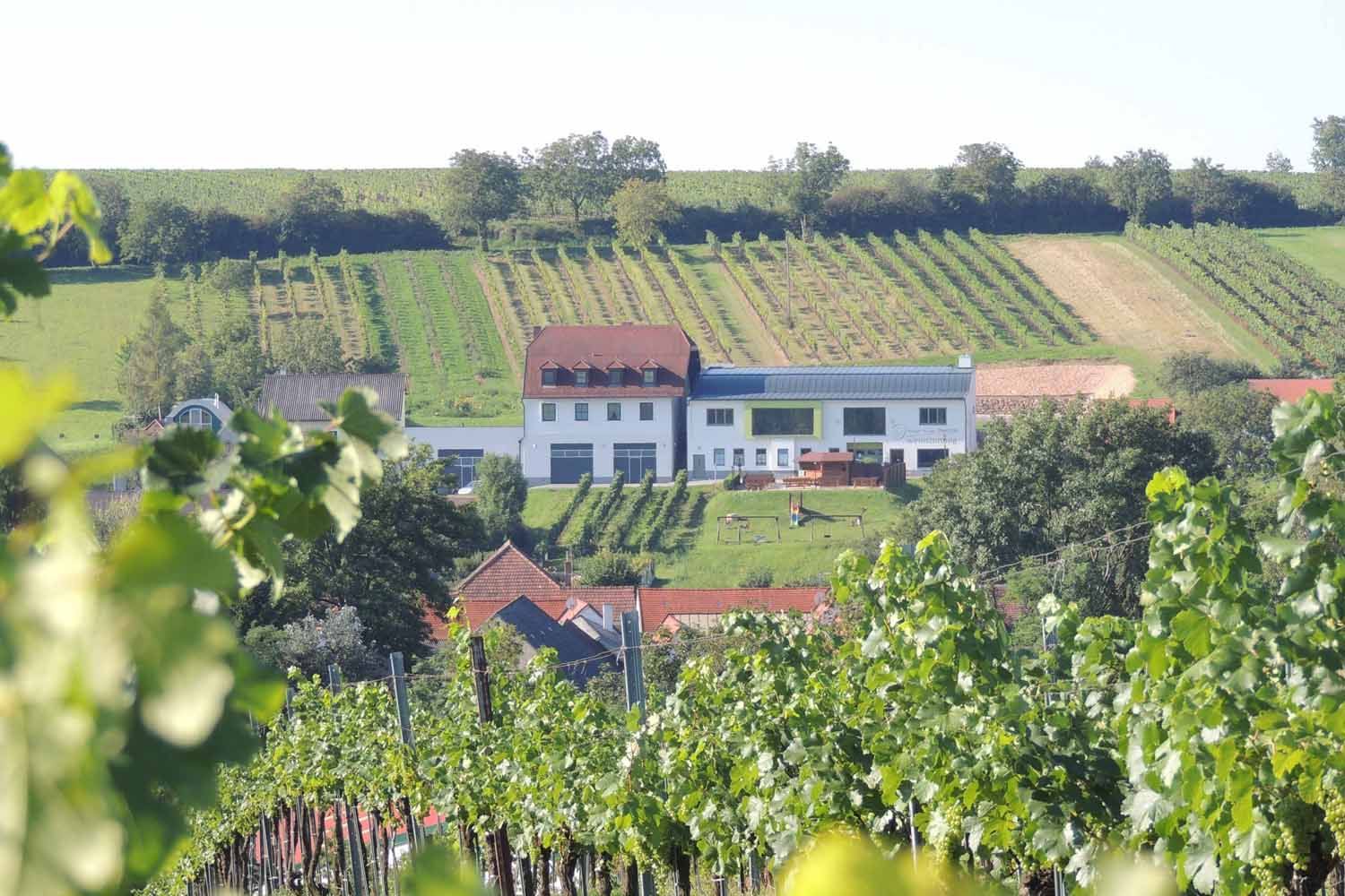 Weingut mit Heurigenlokal inmitten von Weinbergen.