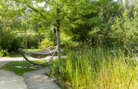 Hängematte im Garten mit Bäumen und Pflanzen.