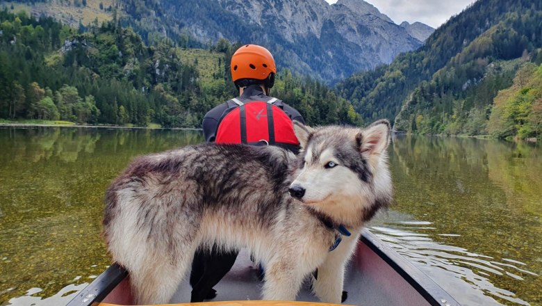 Person mit Helm und Hund in einem Kanu auf einem ruhigen See, umgeben von Bergen und Wald.