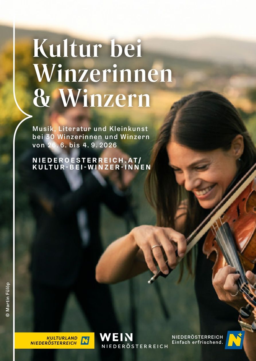 Coverbild: Frau spielt im Grünen auf einer Geige. 