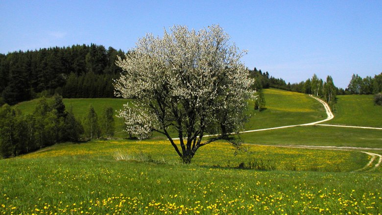 Waldviertler Hochland, &copy; Familie Einfalt