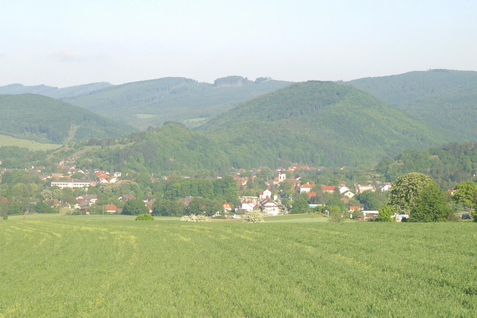 Landschaftsansicht von Alland mit grünen Feldern und bewaldeten Hügeln im Hintergrund.
