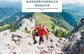 Peter Gross, &copy; Daniel Gollner