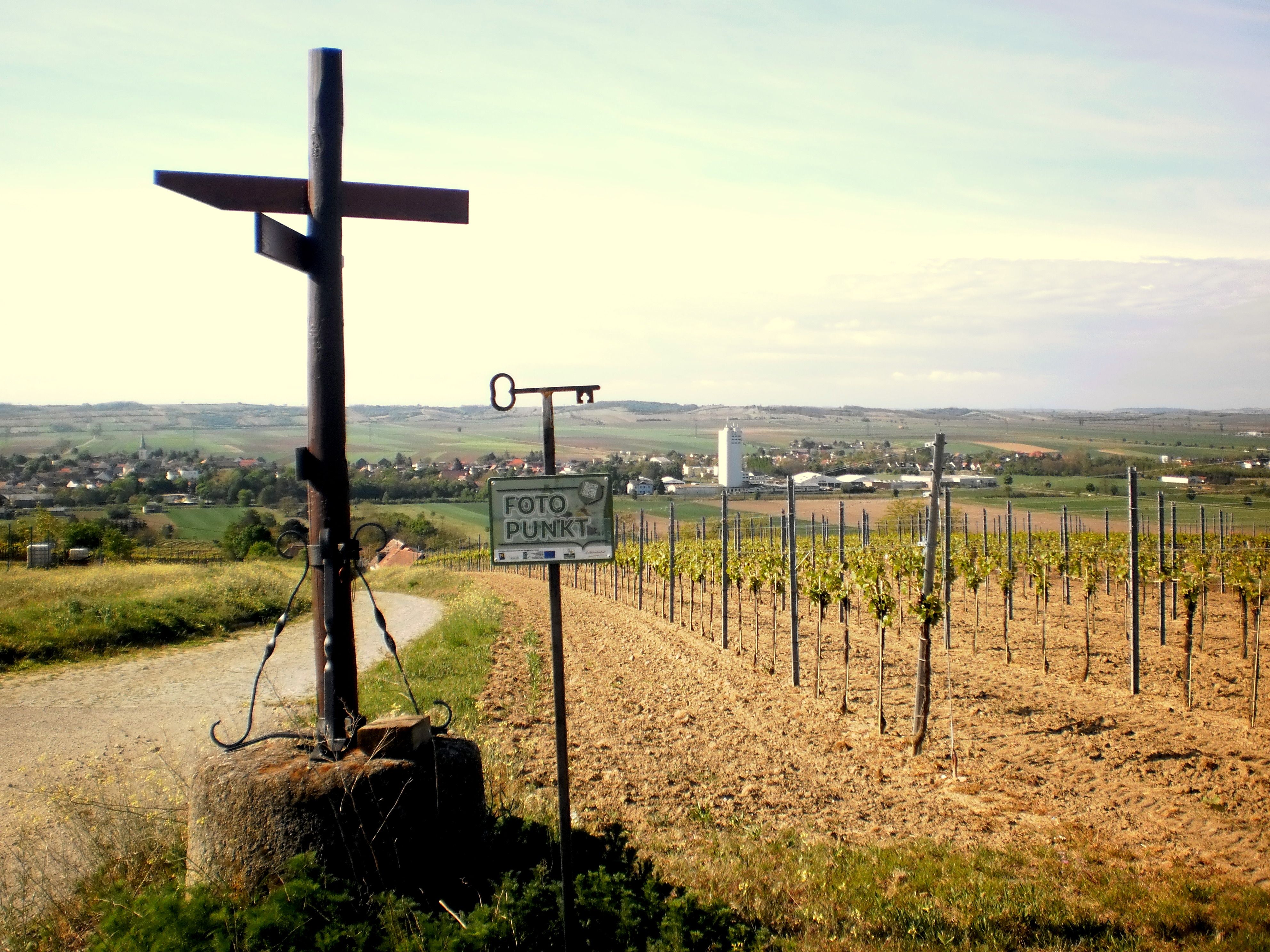Blick auf Haugsdorf mit Weinbergen und einem Fotopunkt-Schild im Vordergrund.