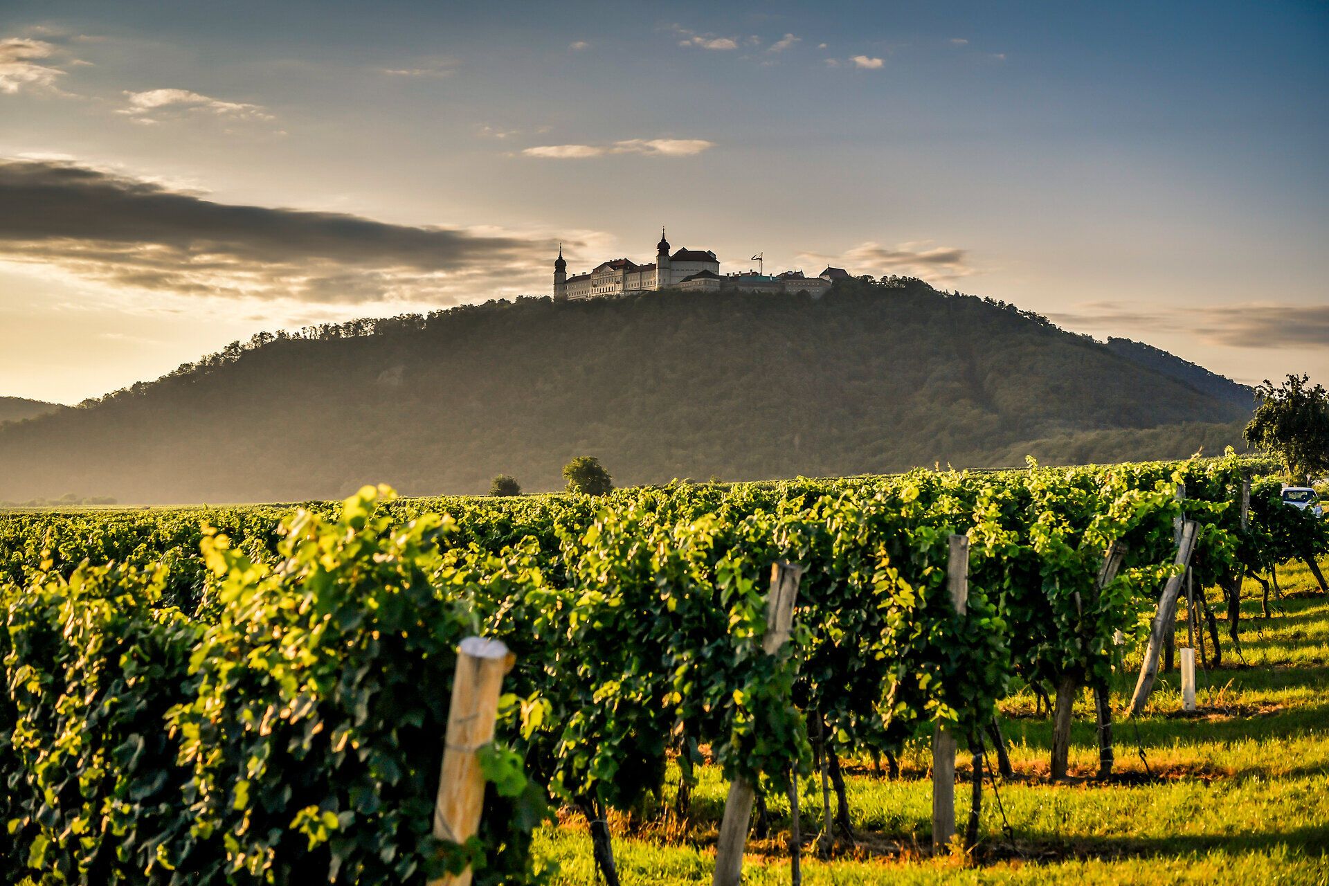 Die sanften Hügel der Weinregion laden zu einem unvergesslichen Sommerausflug ein. Die üppigen Weinreben erstrecken sich bis zum Horizont und bieten einen atemberaubenden Blick auf das majestätische Stift Göttweig, das stolz auf dem Hügel thront. Hier vereinen sich Natur und Kultur zu einem harmonischen Erlebnis.