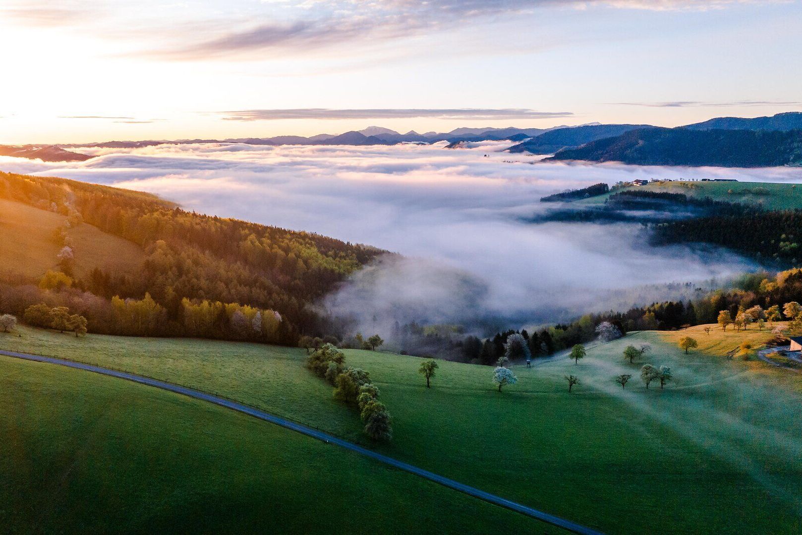 Die sanften Hügel des Mostviertels sind im Frühling in ein zartes Blütenmeer gehüllt. Die Birnbäume blühen prächtig und verbreiten einen süßen Duft, während die Sonne sanft über die Landschaft strahlt. Ein perfekter Ort, um die Schönheit der Natur zu genießen und die Seele baumeln zu lassen.