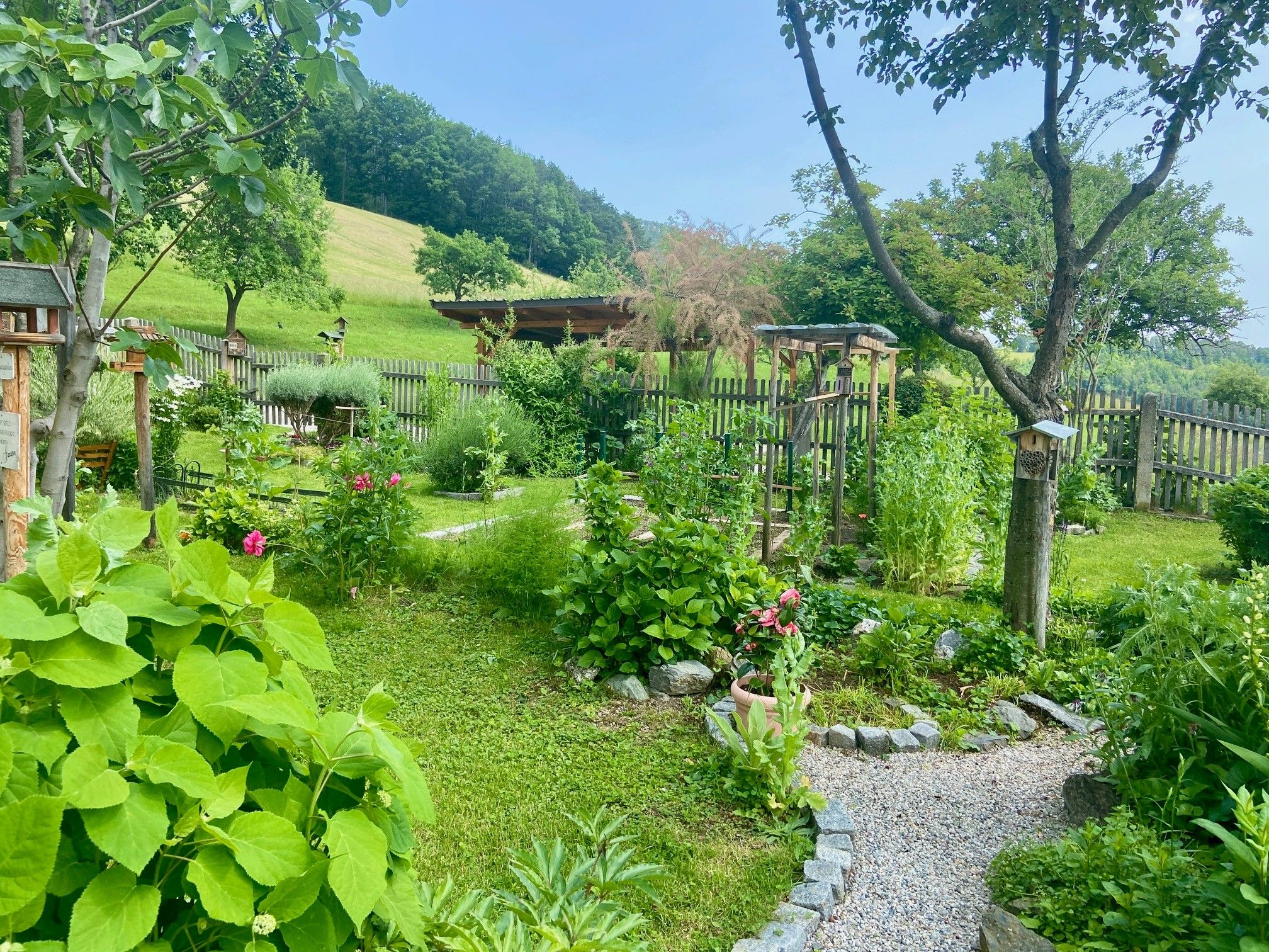 Ein gepflegter Garten mit Blumen, Bäumen und einem Kiesweg, umgeben von einem Holzzaun und einer grünen Wiese im Hintergrund.