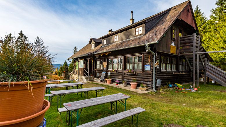 Holzhütte mit Bierbänken im Freien, umgeben von Bäumen.