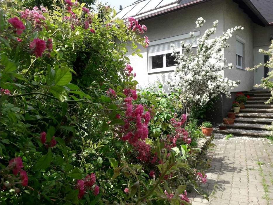 Garten mit blühenden Sträuchern vor einem Haus mit Treppe.
