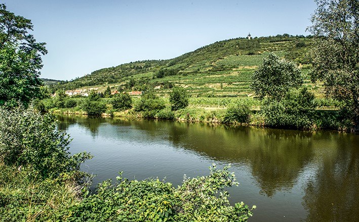 Fischen am Kamp, &copy; POV, Robert Herbst