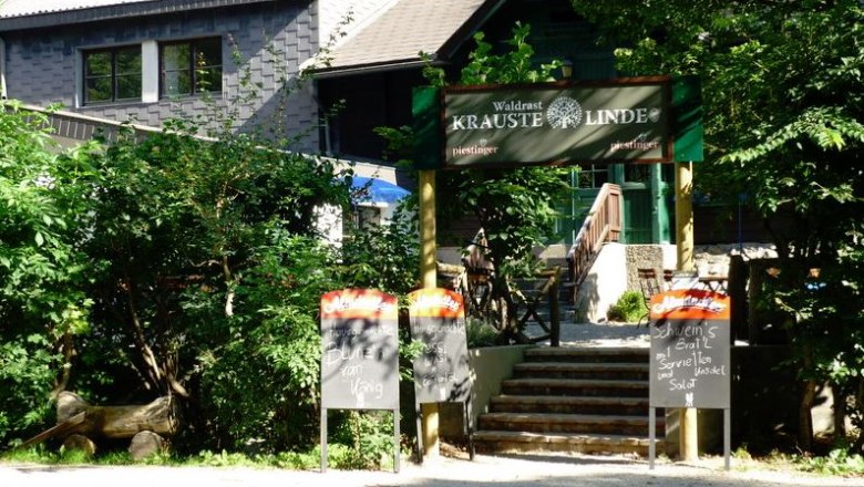 Waldrast Krauste Linde, &copy; Waldrast Krauste Linde