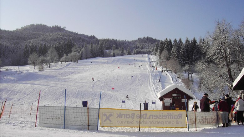 Skigebiet mit Piste, Skifahrern und Wald im Hintergrund.