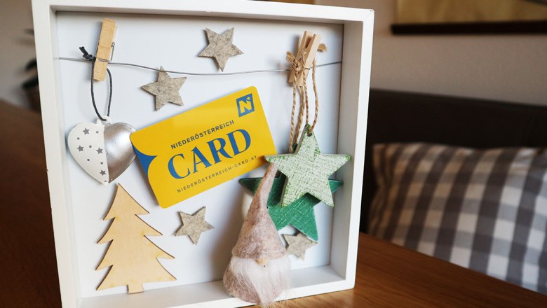 ein Hingucker im Bilderrahmen, © Niederösterreich-CARD