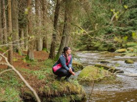 Inmitten der &uuml;ppigen Natur des Kamptals, wo das sanfte Pl&auml;tschern des Wassers die Stille durchbricht, genie&szlig;t eine Wanderin die friedliche Atmosph&auml;re. Umgeben von hohen B&auml;umen und moosbedeckten Steinen, l&auml;dt dieser Ort dazu ein, die Sch&ouml;nheit der Landschaft zu erkunden und die Seele baumeln zu lassen.