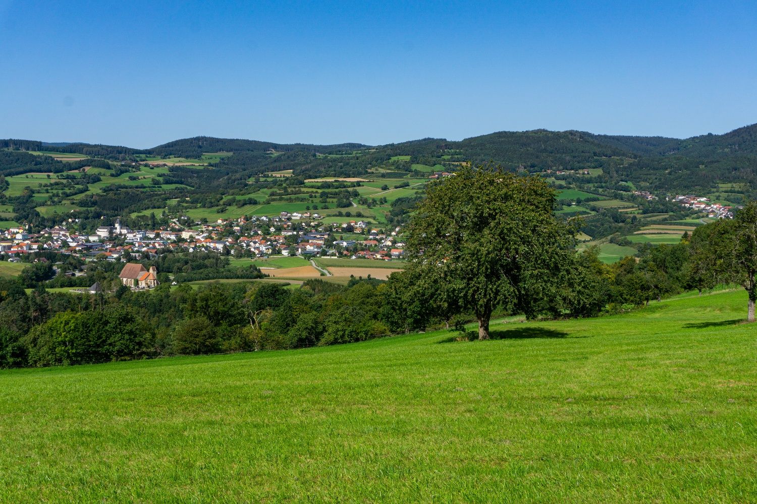 Güterweg zum Mandlgupf, Blick zurück nach Pöggstall