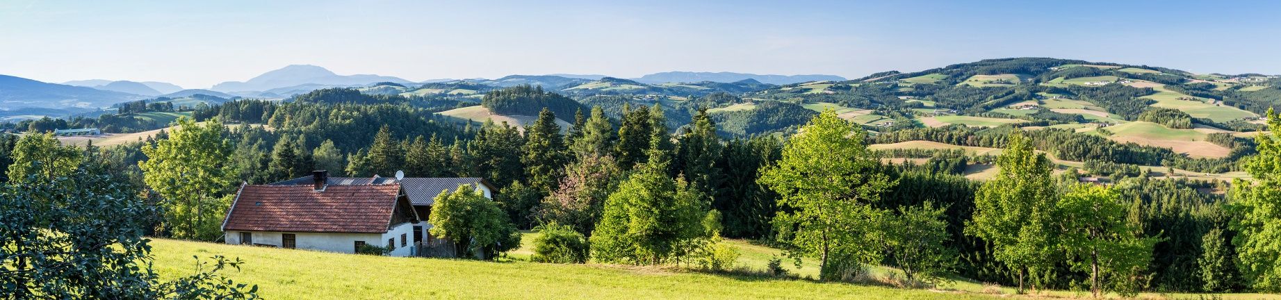 Hochhalt