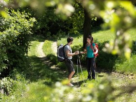 Wandern in der Buckligen Welt, © Wiener Alpen / Florian Lierzer