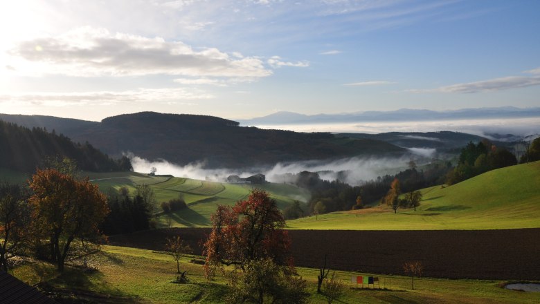 Landschaft im s&uuml;dlichen Waldviertel mit H&uuml;geln, B&auml;umen und Nebel.