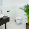 Modernes Badezimmer mit Waschbecken, Toilette und Pflanze.