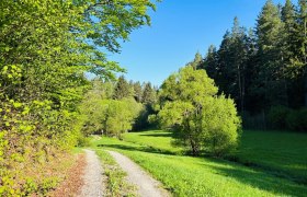 Wurmbrand, &copy; Dr. Markus Peham