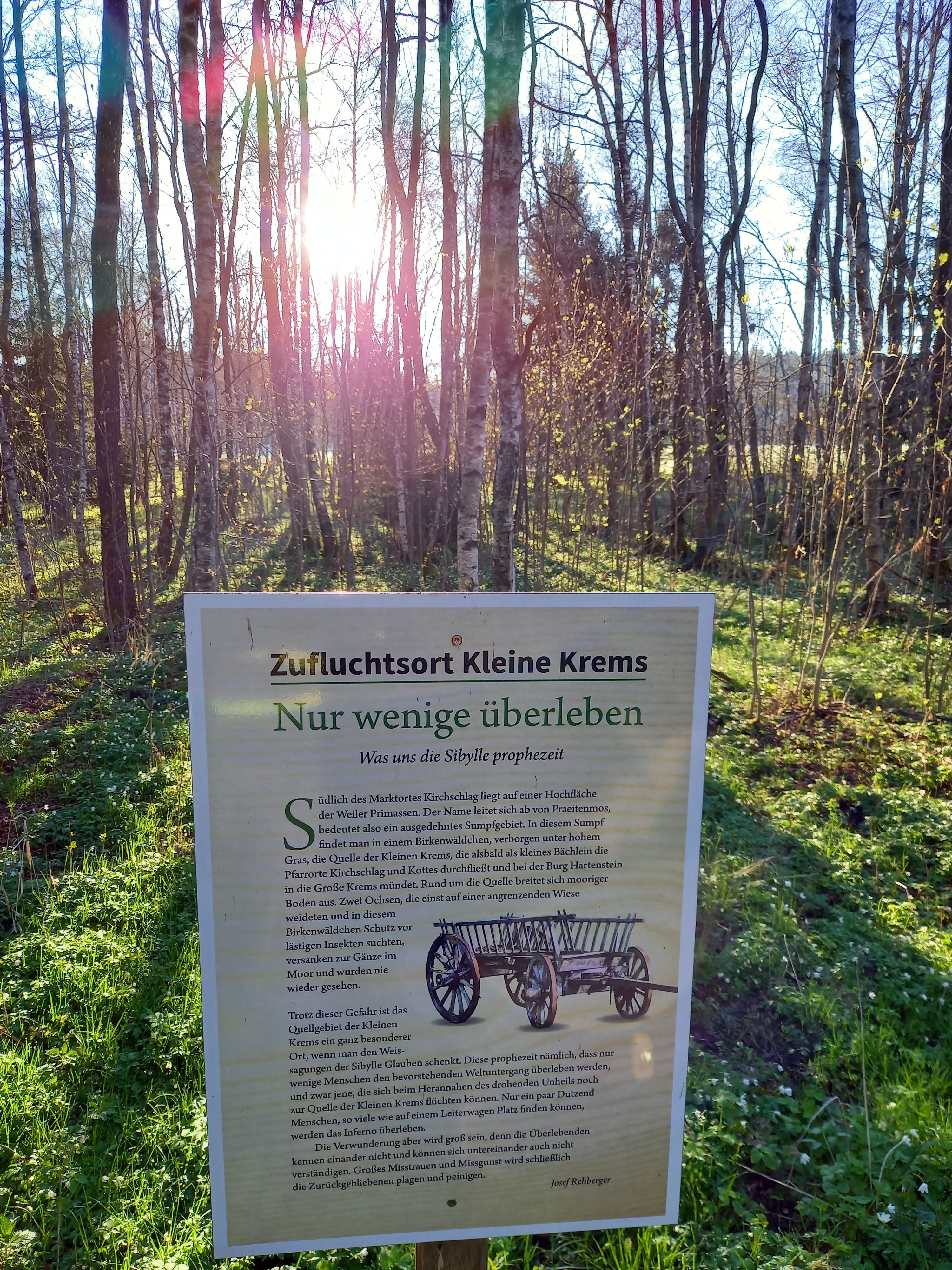 Infotafel im Wald mit Informationen zum Ursprung der Kl. Krems