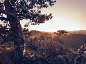 Peilstein Erlebnissweg Triestingtal, © Wienerwald Tourismus GmbH / Andreas Hofer