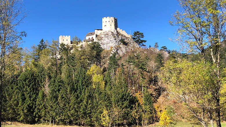 Ruine Losenheim auf einem H&uuml;gel mit B&auml;umen im Vordergrund.
