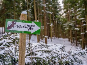 Winterwandern am Walderlebnisweg Gschaidt, &copy; Wiener Alpen in Nieder&ouml;sterreich
