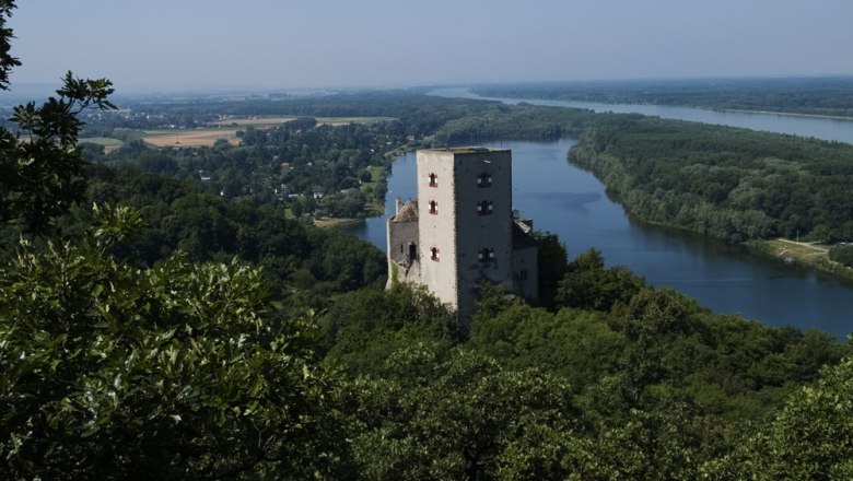 Burg Greifenstein, © Donau Niederösterreich